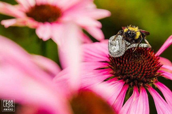 99F177355F606AF21CFD0D