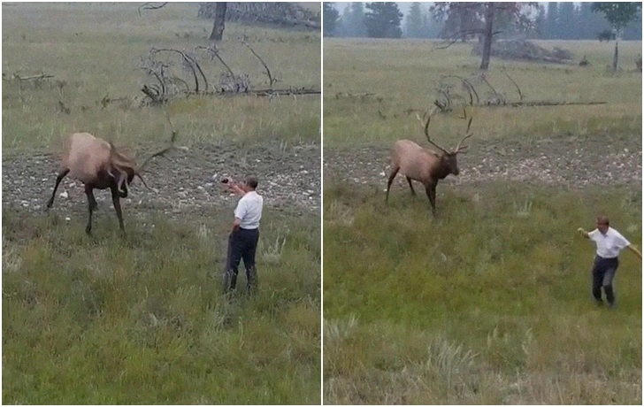 99A432355F691E9E0DE6D5