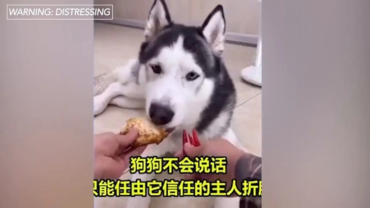 9906DC4A5FE5125D0967D9