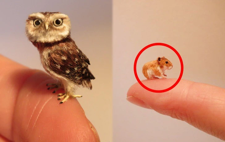 99F46E335F199C831A7F35