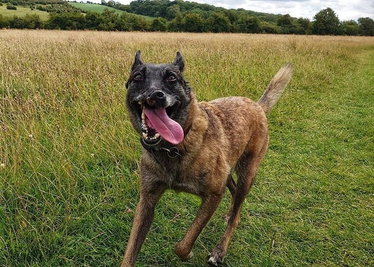 99732F376012145A0C8288