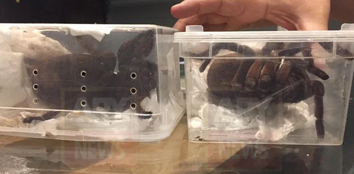 9946184B5D7CBEF92D3479