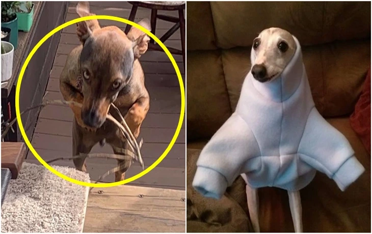 995023455F755674184909