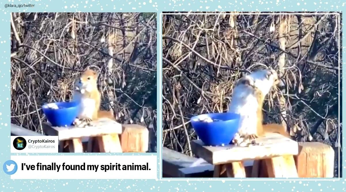 99952C4F5FC325251578EE