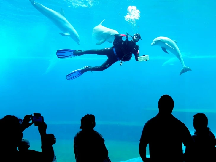 994C77415F700DD71FD091