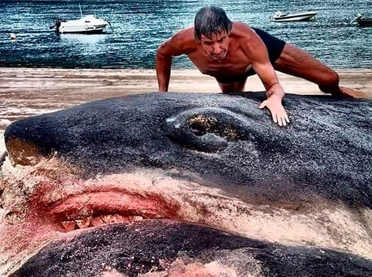 99A7D44E5F30C06A2FD6F7