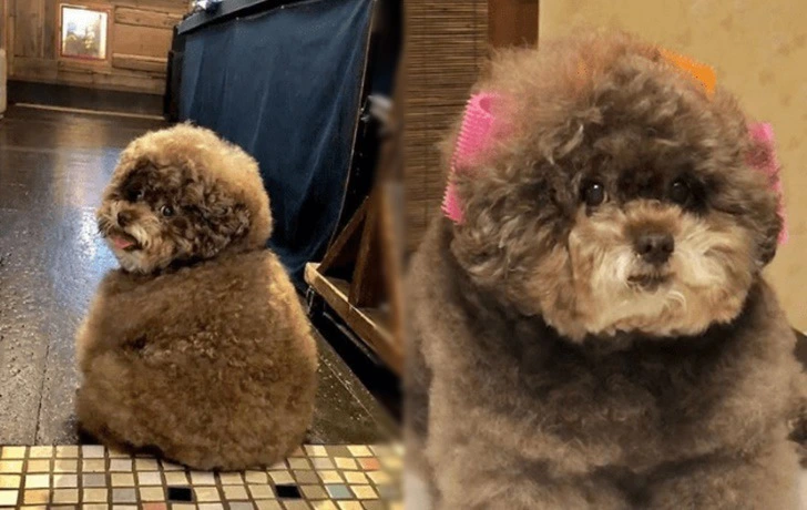 99E001415F45CD4B2ACB84