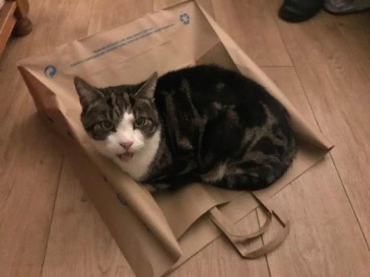 99E1D8415FFE624F0D08BC