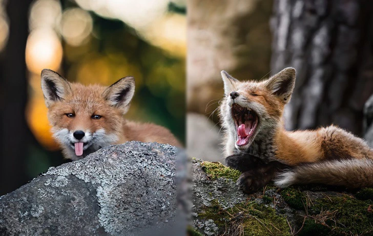 9946D33B5F49A360119AAB