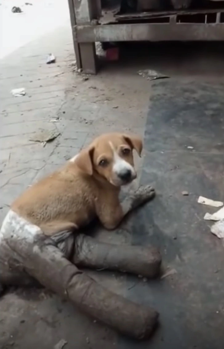 996B4A385FFA562708104A