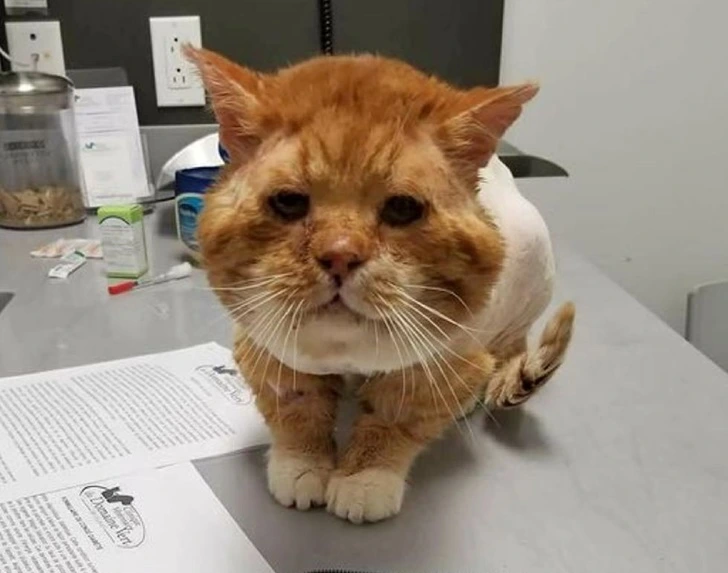 991FC9465FEEDB59191F84