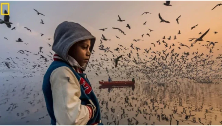 992B18405D09E4451D2019