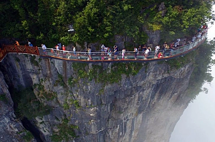 9920A5415FE52236098001