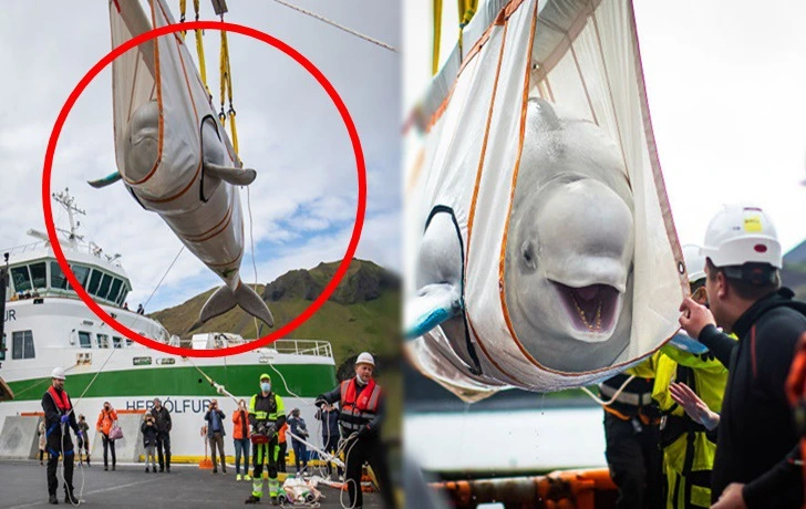 99A81C475F352B2D11C79C