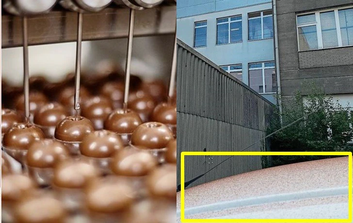 99C1313A5F3E47F00683A5