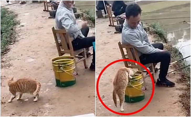 9920A74F5FCB1FA015EE40