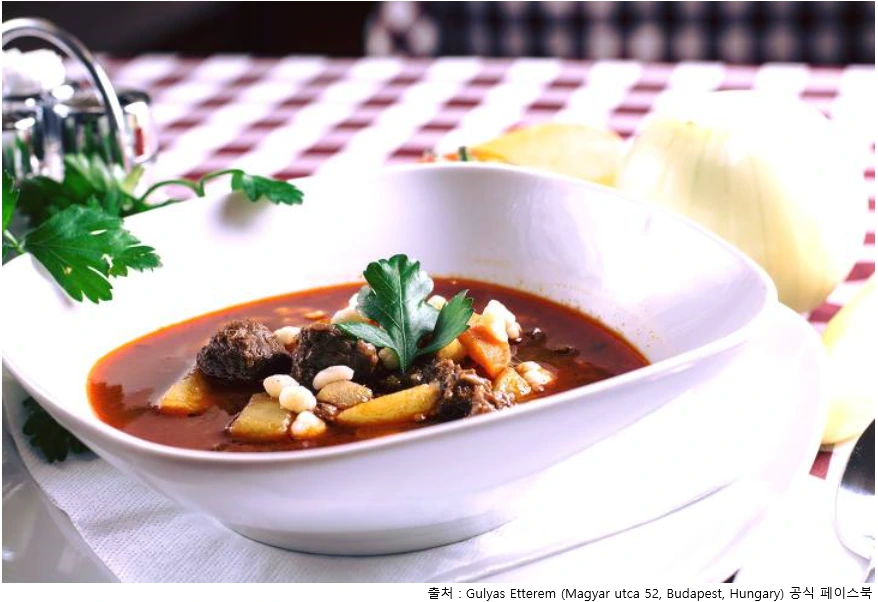 헝가리 굴라쉬.PNG