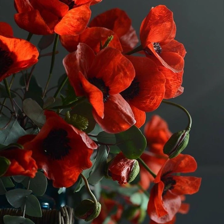 99C1EA495F517A4715C44D