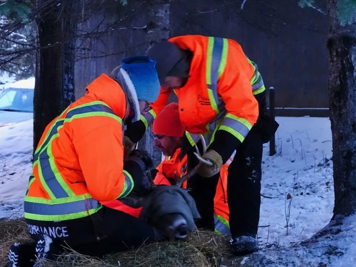 999DAA485FEC23281C0382