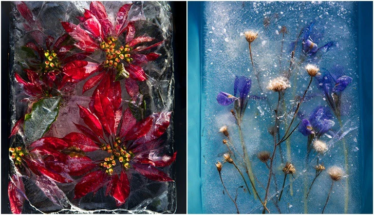 99474B3A5D8833C416E76B