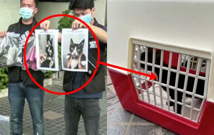 99C1DD495FC1FF7F22645C