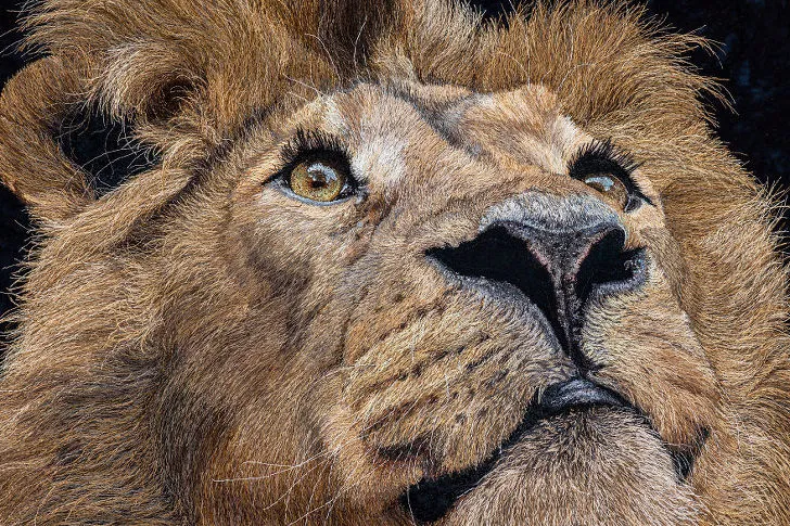 99EF2D4C5F1FC0B722F51D