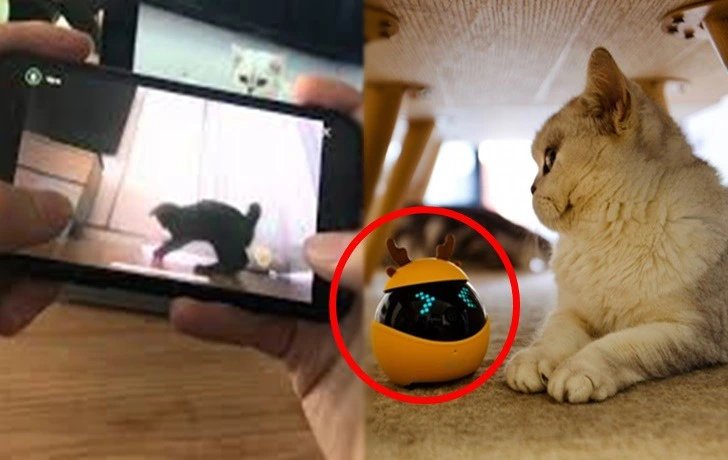 9998A04A5F433B4C0DA9EC