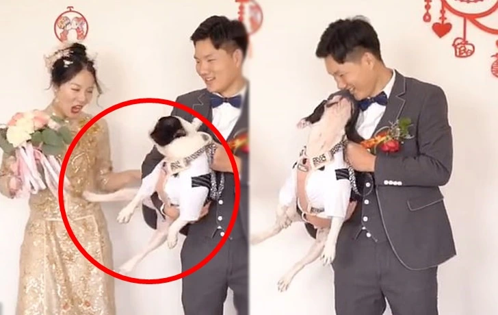 9933B0375FCC88F41C9CC9