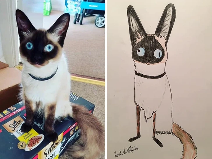 994A8A435F9271060F6797