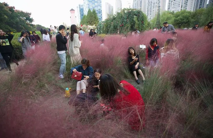 9956233F5D85CAB50424CC