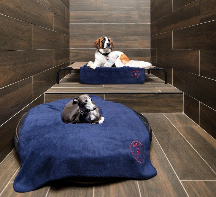 9986CC3E5C42DB9C2A79BC