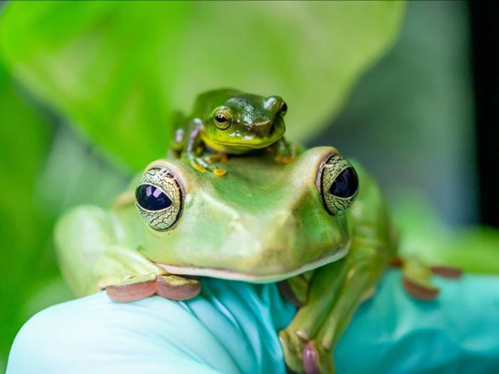 99565E445F22256E221FFF