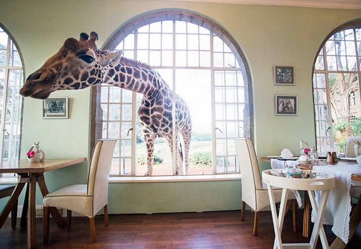 9989904660025FB809BB3A