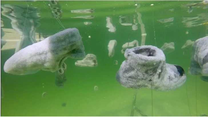 99F6F4485FF173F31F873B