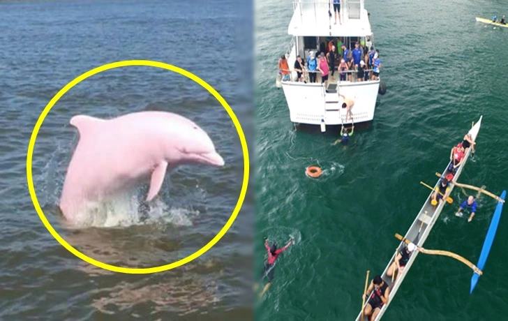 9966EF4A5F60582D1016D4