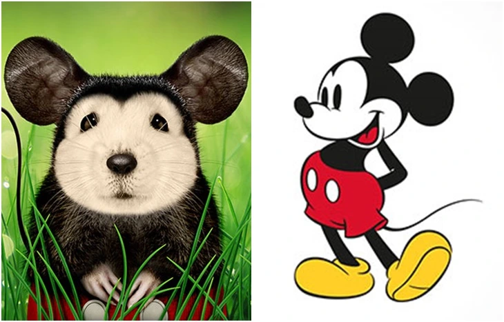 9974D4365FC0B2F9302B43