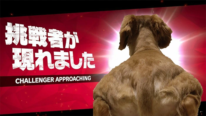 997C16425F2A4DBF0E5BD0