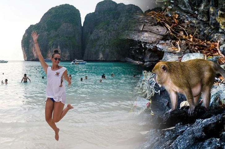 9911E4465D720A97081266