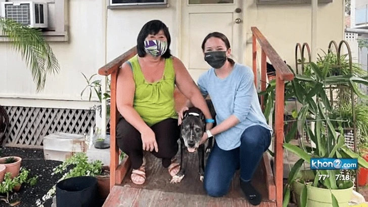 9974C7436007C138158719