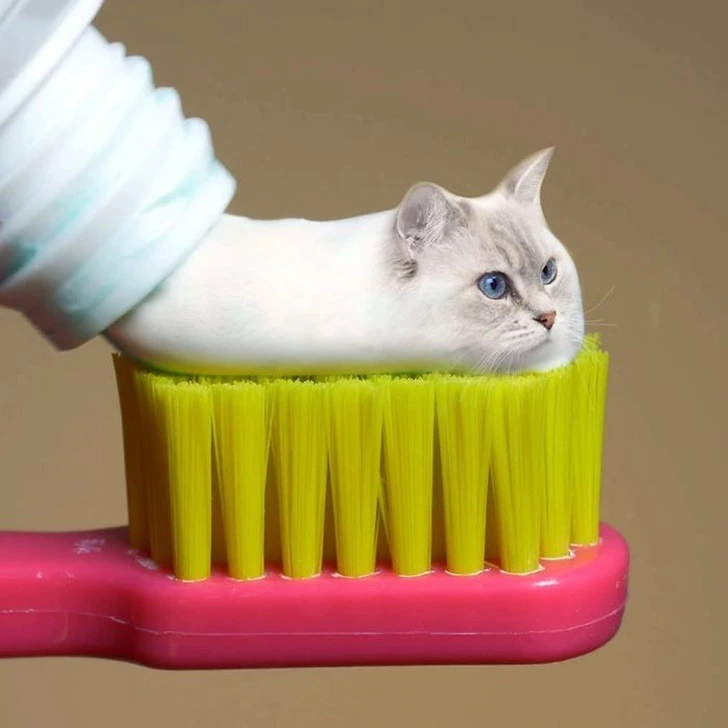 99737B385F222EC221212D