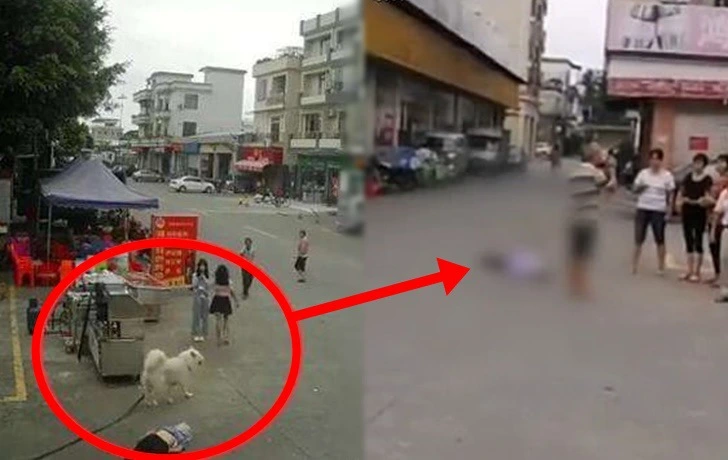 9984E84E5F3FBF3B34A9B6