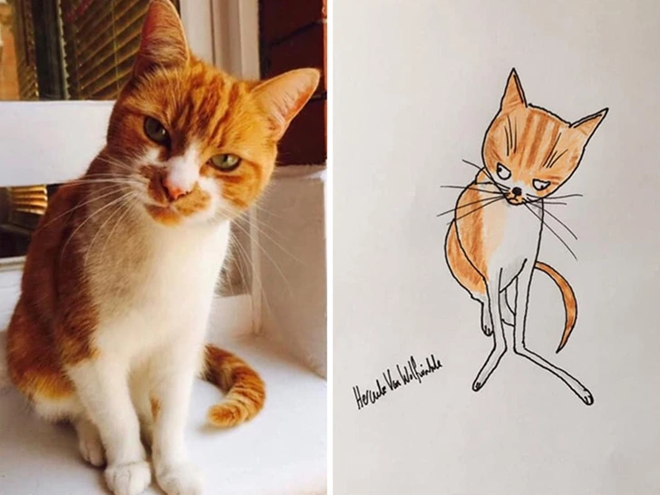 994FF94E5F927106042C5C