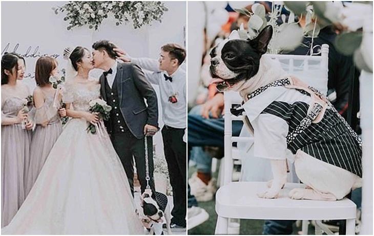 993B9E435FCC88F41BB09B