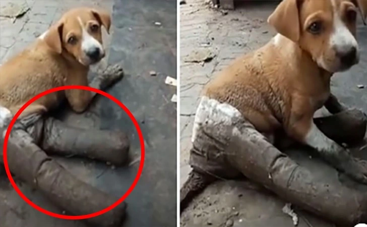 99F03F425FFA5627097DBF