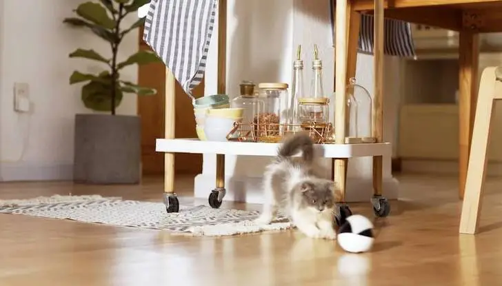 998F684D5F433B7406823F