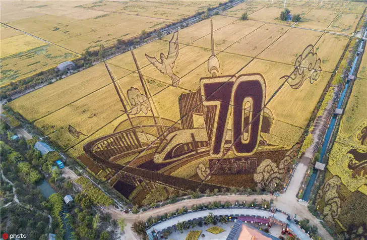 9978B13A5F24986709381F