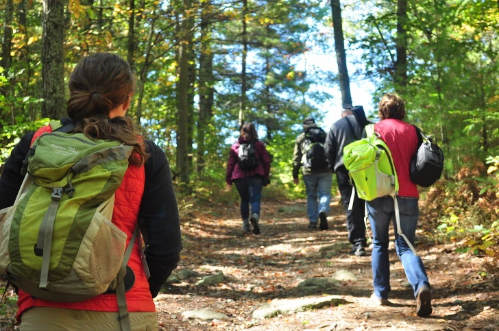 9944843D5CFE12041174E9