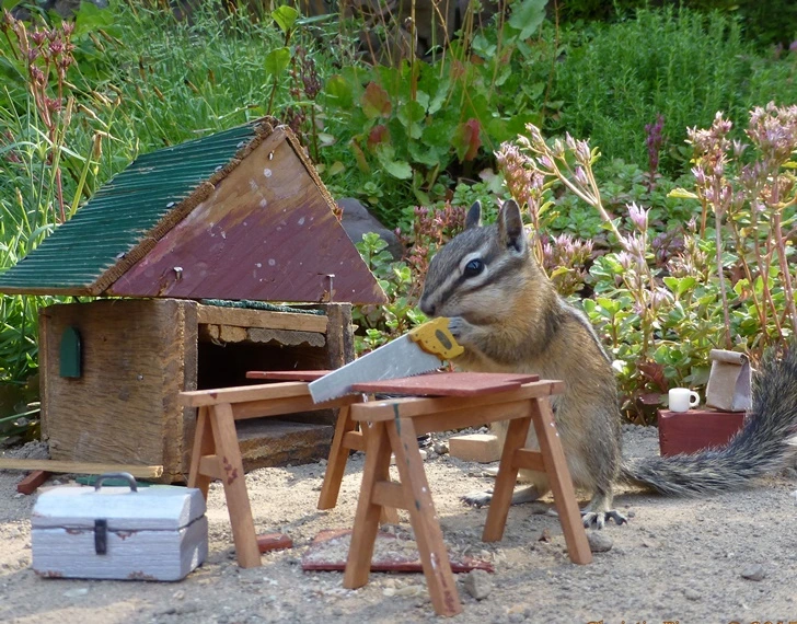 993657405FC2E6EE0B4D95