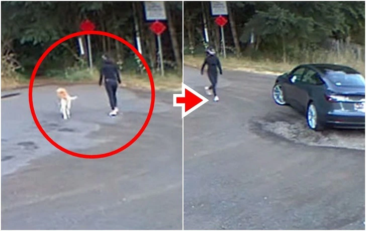 9958F13B5F3222A3065367