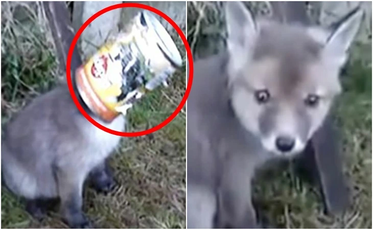 998E5E3E5FE3C3C40A1A7A